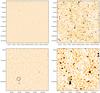 Thumbnail: Fig. 14 Refer to the following caption and surrounding text.