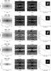 Thumbnail: Fig. B.4 Refer to the following caption and surrounding text.