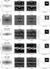 Thumbnail: Fig. B.4 Refer to the following caption and surrounding text.
