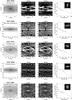Thumbnail: Fig. B.4 Refer to the following caption and surrounding text.