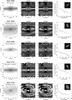 Thumbnail: Fig. B.4 Refer to the following caption and surrounding text.