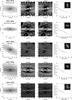 Thumbnail: Fig. B.4 Refer to the following caption and surrounding text.
