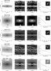 Thumbnail: Fig. B.4 Refer to the following caption and surrounding text.