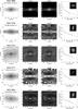 Thumbnail: Fig. B.4 Refer to the following caption and surrounding text.