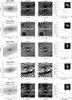 Thumbnail: Fig. B.4 Refer to the following caption and surrounding text.