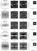 Thumbnail: Fig. B.4 Refer to the following caption and surrounding text.