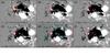 Thumbnail: Fig. 2 Refer to the following caption and surrounding text.