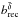 Mathematical equation: \hbox{$b_{\rm rec}^{\bar\delta}$}