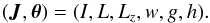 Mathematical equation: \begin{equation} (\bm{J}, \bm{\theta}) = (I , L , L_{z} , w , g , h) . \label{Delaunay_3D_actions} \end{equation}