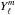 Mathematical equation: \hbox{$Y_{\ell}^{m}$}