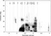 Thumbnail: Fig. 1 Refer to the following caption and surrounding text.