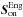 Mathematical equation: \hbox{$\sbe^\text{Eng}$}
