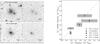 Thumbnail: Fig. 5 Refer to the following caption and surrounding text.