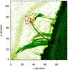 Thumbnail: Fig. 4 Refer to the following caption and surrounding text.
