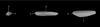 Thumbnail: Fig. 5 Refer to the following caption and surrounding text.