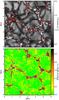 Thumbnail: Fig. 5 Refer to the following caption and surrounding text.