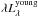 \hbox{$\lambda L^\mathrm{young}_\lambda$}