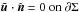 Mathematical equation: \hbox{$\tilde{\bu} \cdot \hat{\vec{n}} =0 \mbox{ on } \partial \Sigma$}