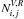 \hbox{$N_{i,j}^{V,R}$}