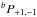 \hbox{$^bP_{+1,-1}$}