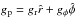 \hbox{$g_{\mathrm{p}}=g_{\mathrm{r}}\hat{r}+g_{\mathrm{\phi}}\hat{\phi}$}