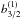 \hbox{$b_{3/2}^{(1)}$}
