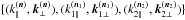Mathematical equation: \hbox{$\{(k_{\parallel}^{(\vn)},\vk_{\perp}^{(\vn)}),(k_{1\parallel}^{(\vn_1)},\vk_{1\perp}^{(\vn_1)}),(k_{2\parallel}^{(\vn_2)},\vk_{2\perp}^{(\vn_2)})\}$}