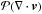 Mathematical equation: \hbox{${\cal P} (\nabla \cdot {\bl v})$}