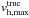\hbox{$v_{{\rm h}, \mathrm{max}}^\mathrm{true}$}