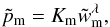 \begin{equation} \label{eq:eos_mag_tilde} \tilde{p}_{\mathrm{m}} = K_{\mathrm{m}} \tilde{w}_{\mathrm{m}}^{\lambda }, \end{equation}