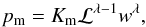 \begin{equation} \label{eq:eos_mag} p_{\mathrm{m}} = K_{\mathrm{m}} \mathcal{L}^{\lambda -1} w^{\lambda }, \end{equation}