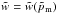 \hbox{$\tilde{w} = \tilde{w}(\tilde{p}_{\mathrm{m}})$}