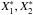 \hbox{$X_1^*,X_2^*$}