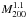 \hbox{$M_{200}^{1.1}$}