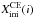 \hbox{$X^{\rm CE}_{\rm ini}(i)$}