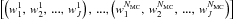 \hbox{$\left[\left(w_{1}^{1},\,w_{2}^{1},\,...,\,w_{J}^{1}\right),\,...,\left(w_{1}^{N_{\rm MC}},\,w_{2}^{N_{\rm MC}},\,...,\,w_{J}^{N_{\rm MC}}\right)\right]$}
