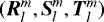 $({\boldsymbol R}_l^m, {\boldsymbol S}_l^m, {\boldsymbol T}_l^m)$