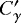 $C&#x0027;_{\gamma}$