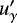 $u&#x0027;_{\gamma}$