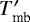$T_{\rm mb}^{\prime}$