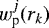 Mathematical equation: $w_{\textrm{p}}^j(r_k)$