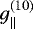 Mathematical equation: $g^{(10)}_{\parallel}$