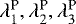 Mathematical equation: $\lambda_1^{\text{P}},\lambda_2^{\text{P}},\lambda_3^{\text{P}}$