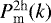 Mathematical equation: $P^{2\textrm{h}}_{\textrm{m}}(k)$