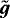 $\tilde{\boldsymbol{g}}$