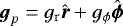 $\boldsymbol{g}_{p}=g_{\textrm{r}} \hat{\boldsymbol{r}} +g_{\phi} \hat{\boldsymbol{\phi}}$