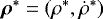 $\bm \rho^*=(\rho^*,\dot\rho^*)$