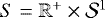 $S=\mathbb{R}^+ \times \mathcal S^1$
