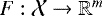 $F:\mathcal{X}\rightarrow \mathbb{R}^m$