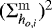 Mathematical equation: $(\mathrm{\Sigma}_{ h_{o,i}}^{\mathrm{m}})^2$
